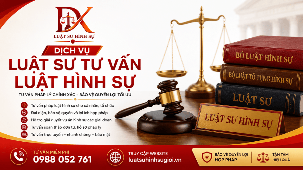 dich vu luat su tu van luat hinh su