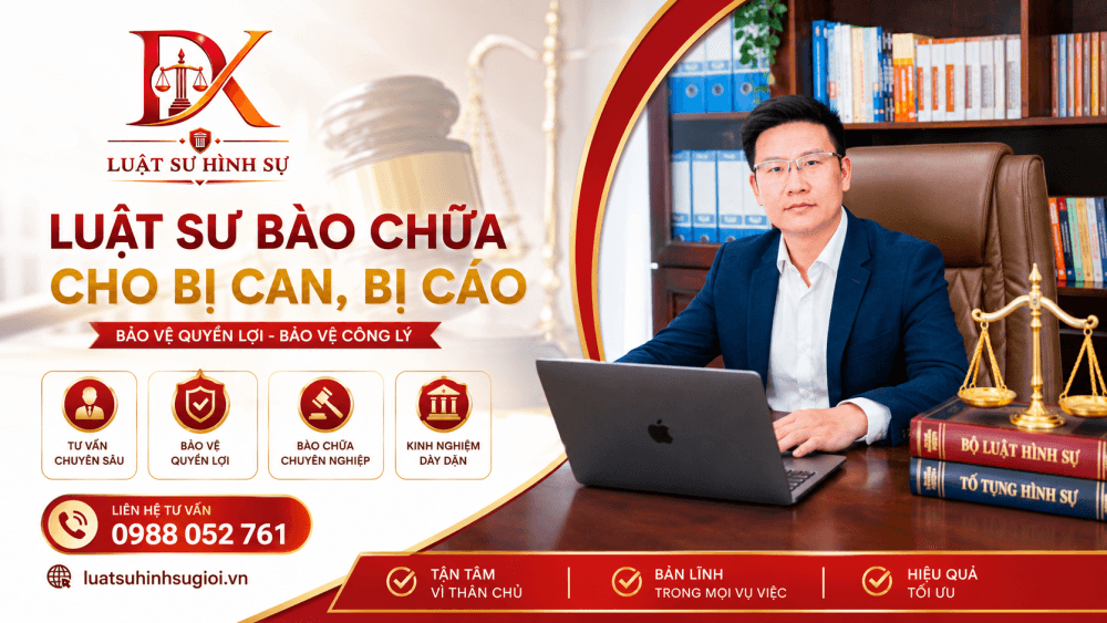 luat su bao chua bi can bi cao tai tp hcm